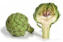 15554_artichoke2.