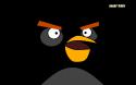 1789angry_birds___black_bird_by_tucker28-d492j8l.