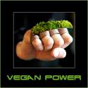 18188_VEGAN_POWER_02.