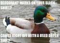 2443_actual-advice-mallard-16.