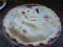 31495_blueberry_pie.