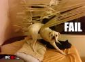 34361309728051_dog-fail-ruin-blinds.