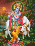 5490P33L-Krishna-Dusk-01.