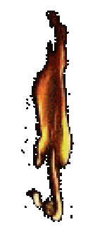 74288_Flame-04-june.