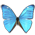 83068_Morpho-Adonis-Huallega-Top-icon.