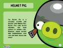 93146_Helmet_Pig_Toy_Care.