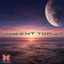 96679_1358758927_ambient-top-20-2013.