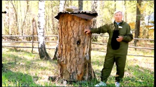 видео пчеловодство скачать торрент